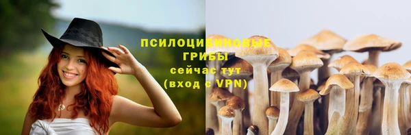 первитин Михайлов