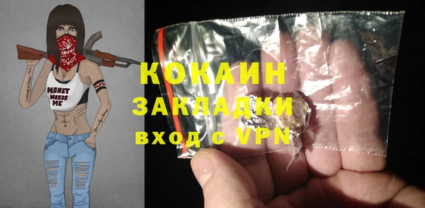 крисы Абаза